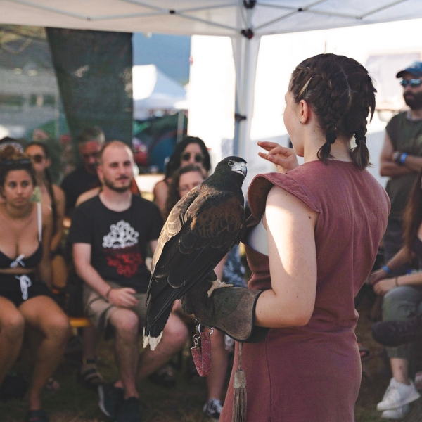 Avvicinamento alla Falconeria